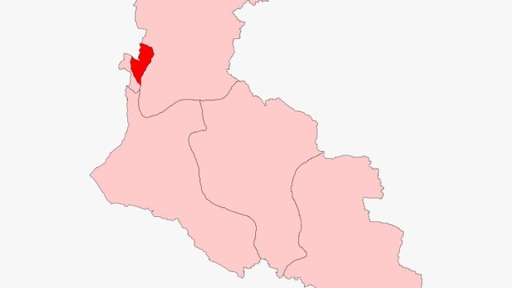 'सरयू’ की धारा में बहेगी भाजपा या महामहिम की बहू बनेगी NDA की प्रत्याशी